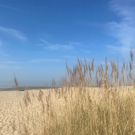 Apartamento Nordseebrandung B1.4